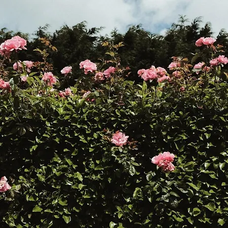 Couette-café Glenhill 3*