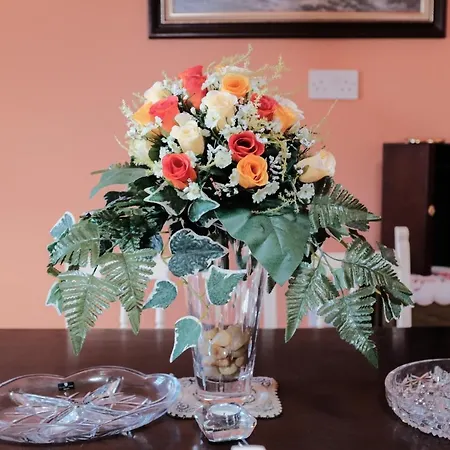 Bed and Breakfast Glenhill