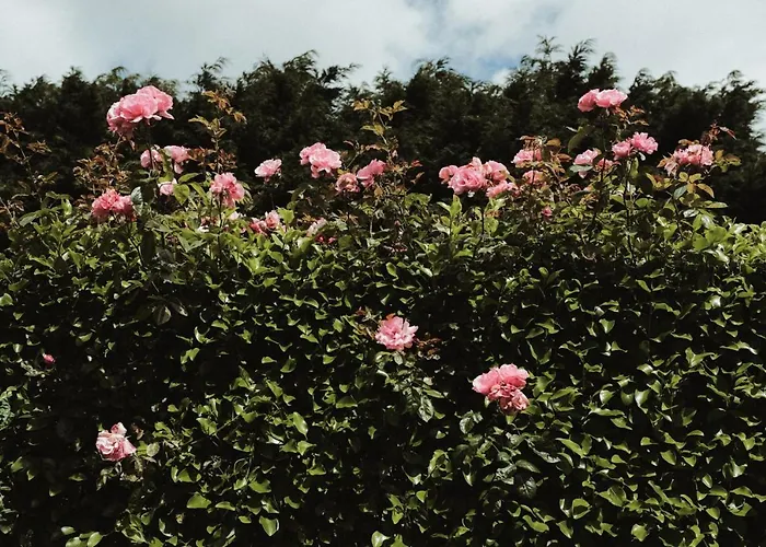 ベッド・アンド・ブレックファスト Glenhill 3*